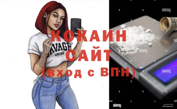 сатива Балахна