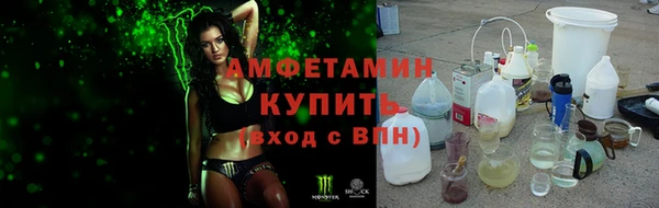 сатива Балахна