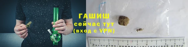 сатива Балахна