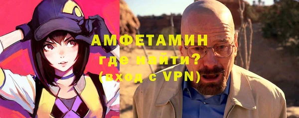 сатива Балахна